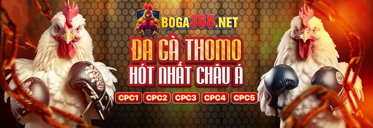 Hình ảnh Điều Khoản Dịch Vụ G7WIN